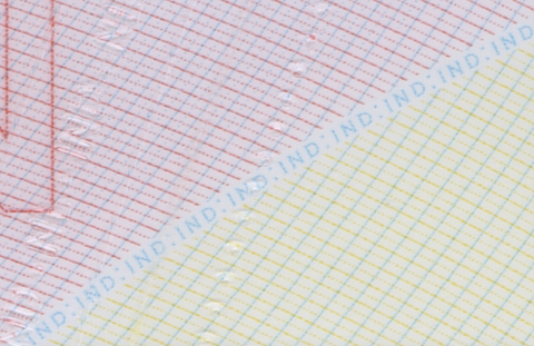 Echtheidskenmerken offset ondergrond bedrukking en microtekst 